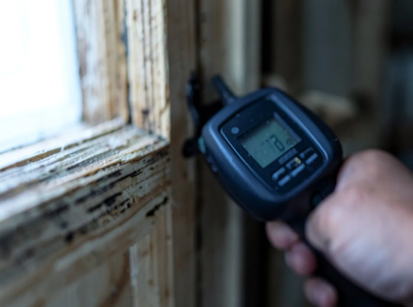 Commercial Water Damage Restoration in Flensburg, MN